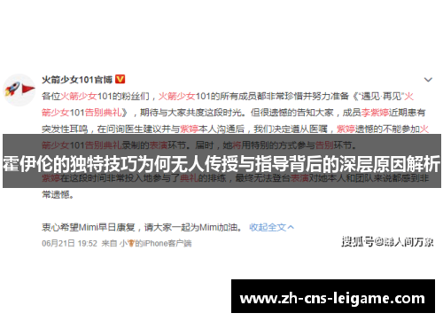 霍伊伦的独特技巧为何无人传授与指导背后的深层原因解析